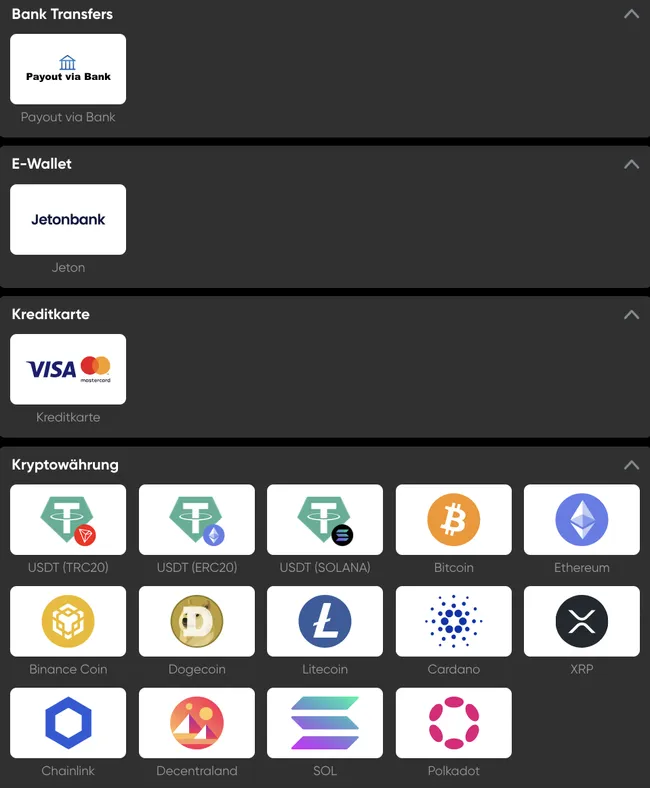 Eine Benutzeroberfläche zeigt die Zahlungsoptionen an: Banküberweisungen, E-Wallet (Jetonbank), Kreditkarten (Visa, Mastercard) und 14 Kryptowährungssymbole, darunter USDT, Bitcoin, Ethereum, Binance Coin und Dogecoin.